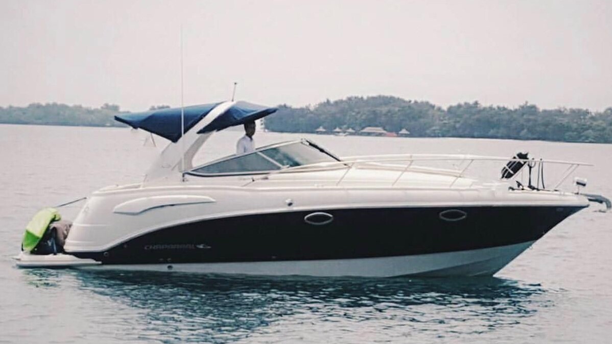 Chaparral Signature 290