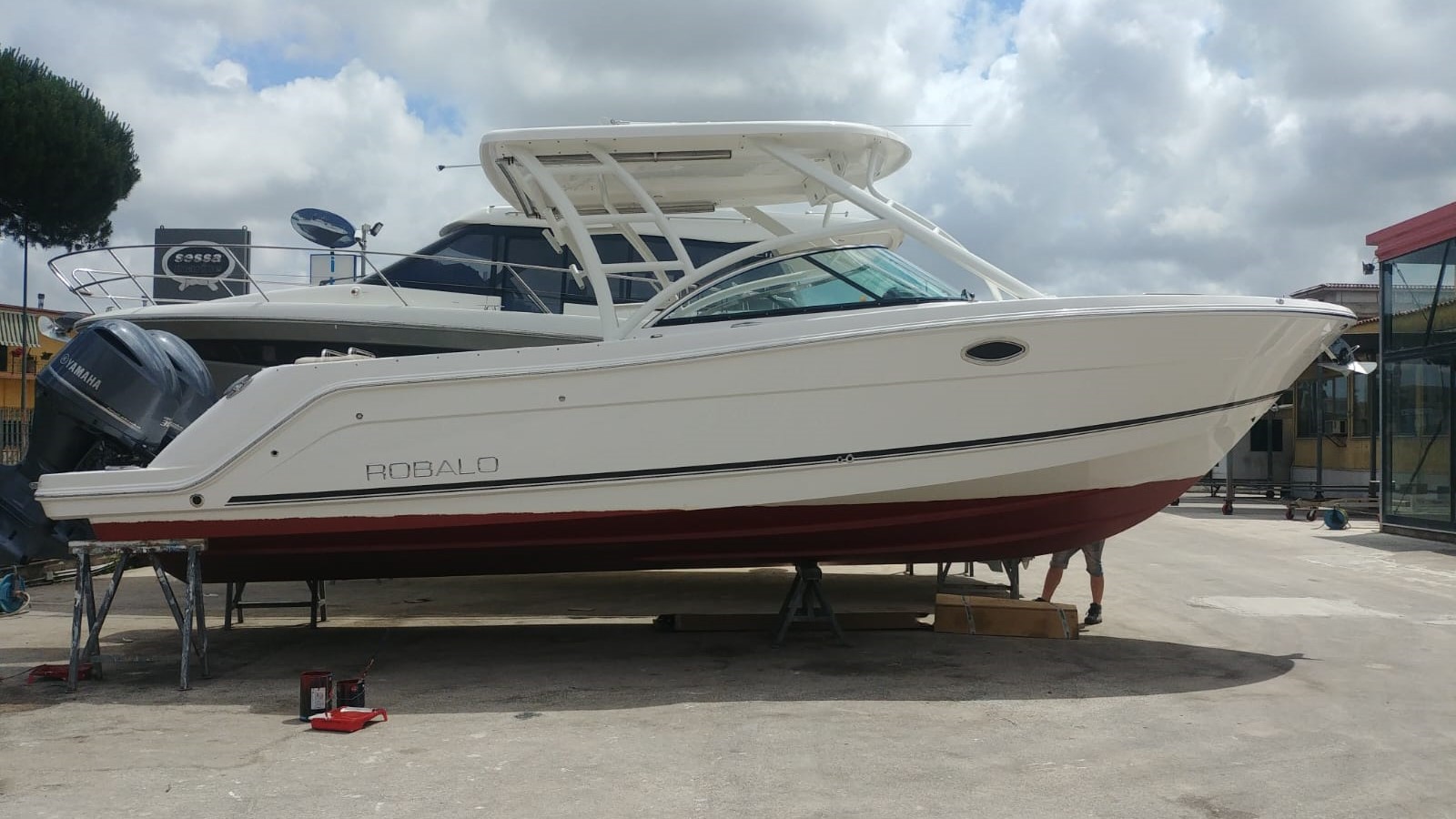 Robalo R317