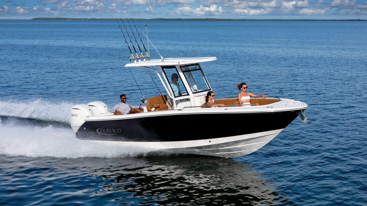 Robalo R 250